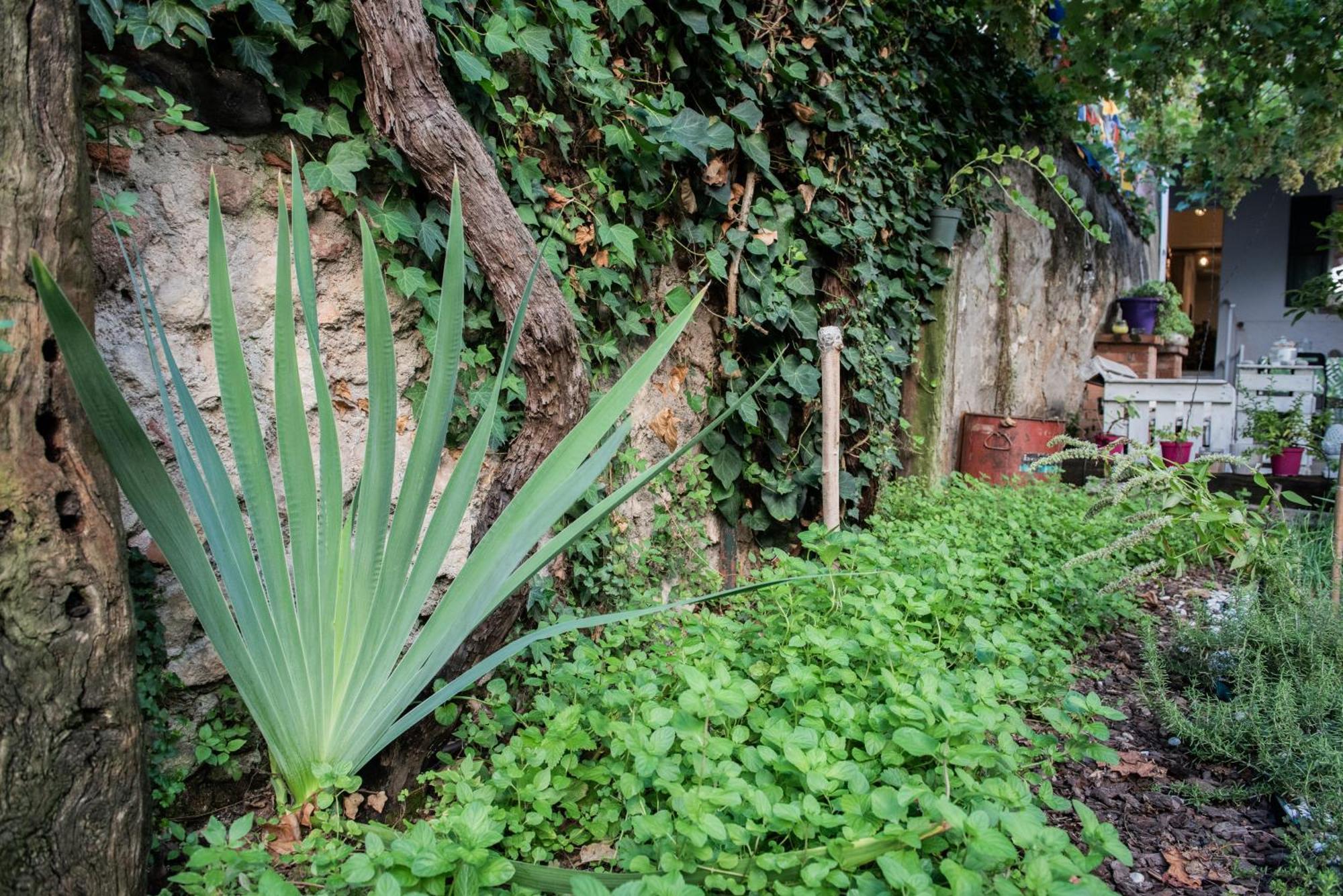 Готель Casa Babbuino Верона Екстер'єр фото