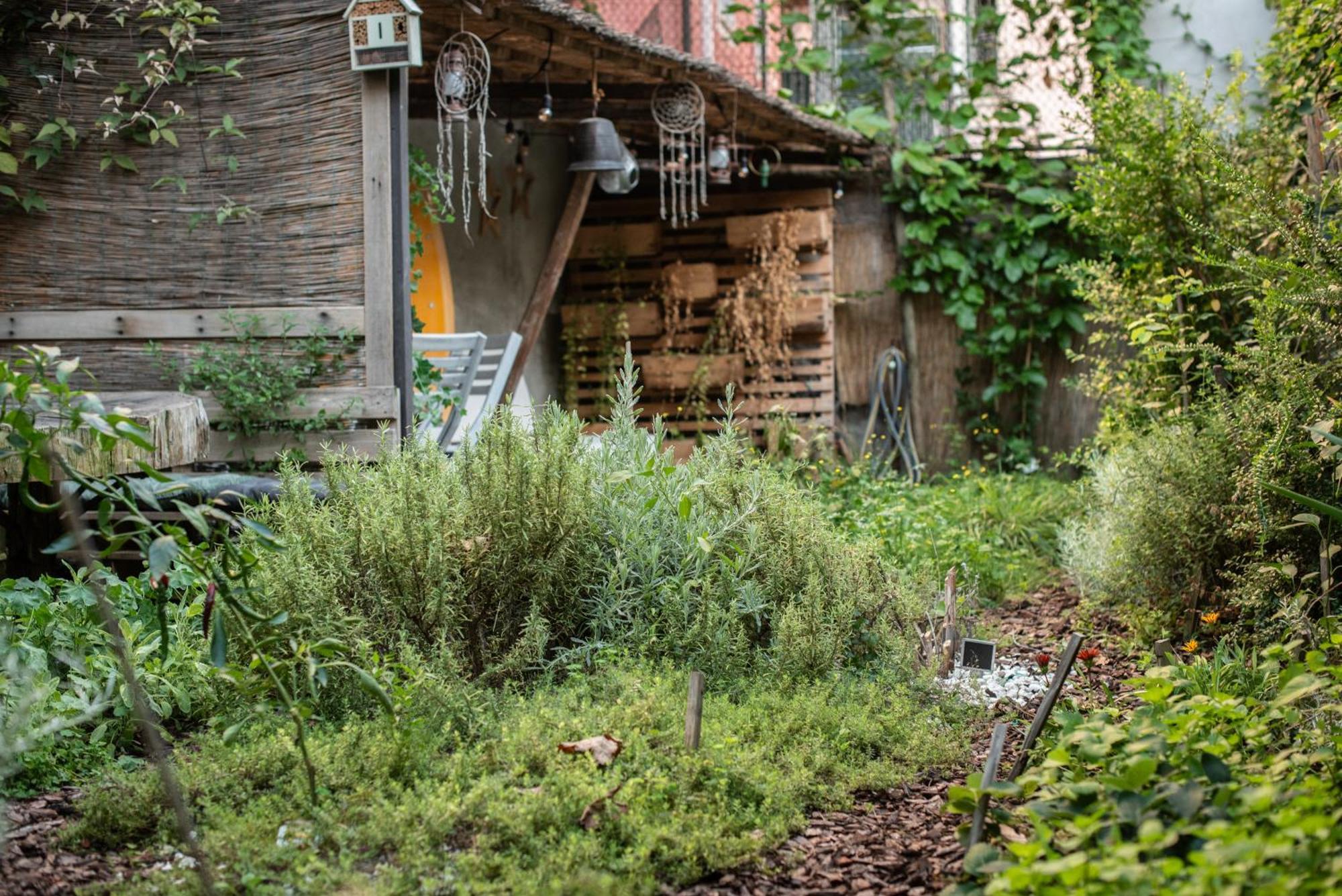 Готель Casa Babbuino Верона Екстер'єр фото
